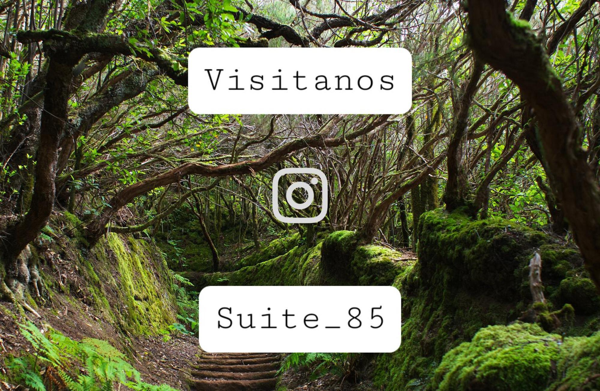 Suite 85, Villa Boutique Privada Con Piscina Icod De Los Vinos Exterior photo